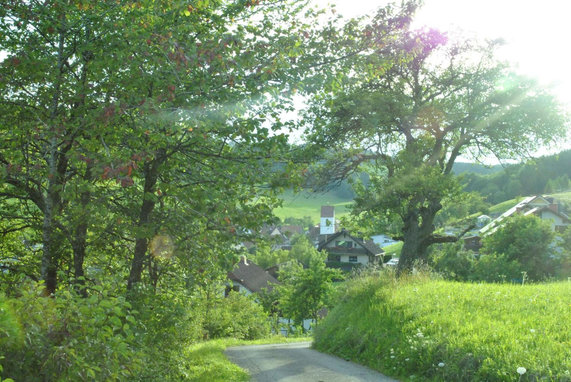 Gasthaus Kranz Lausheim Екстер'єр фото