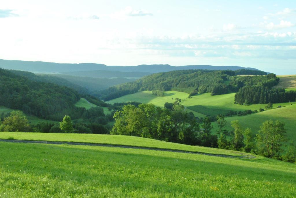 Gasthaus Kranz Lausheim Екстер'єр фото