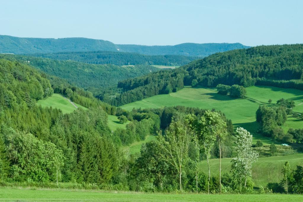 Gasthaus Kranz Lausheim Екстер'єр фото